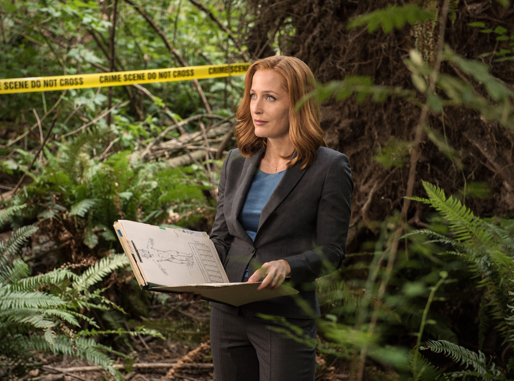 The X-Files, David Duchovny, Gillian Anderson The X-Files, David Duchovny, Gillian Anderson